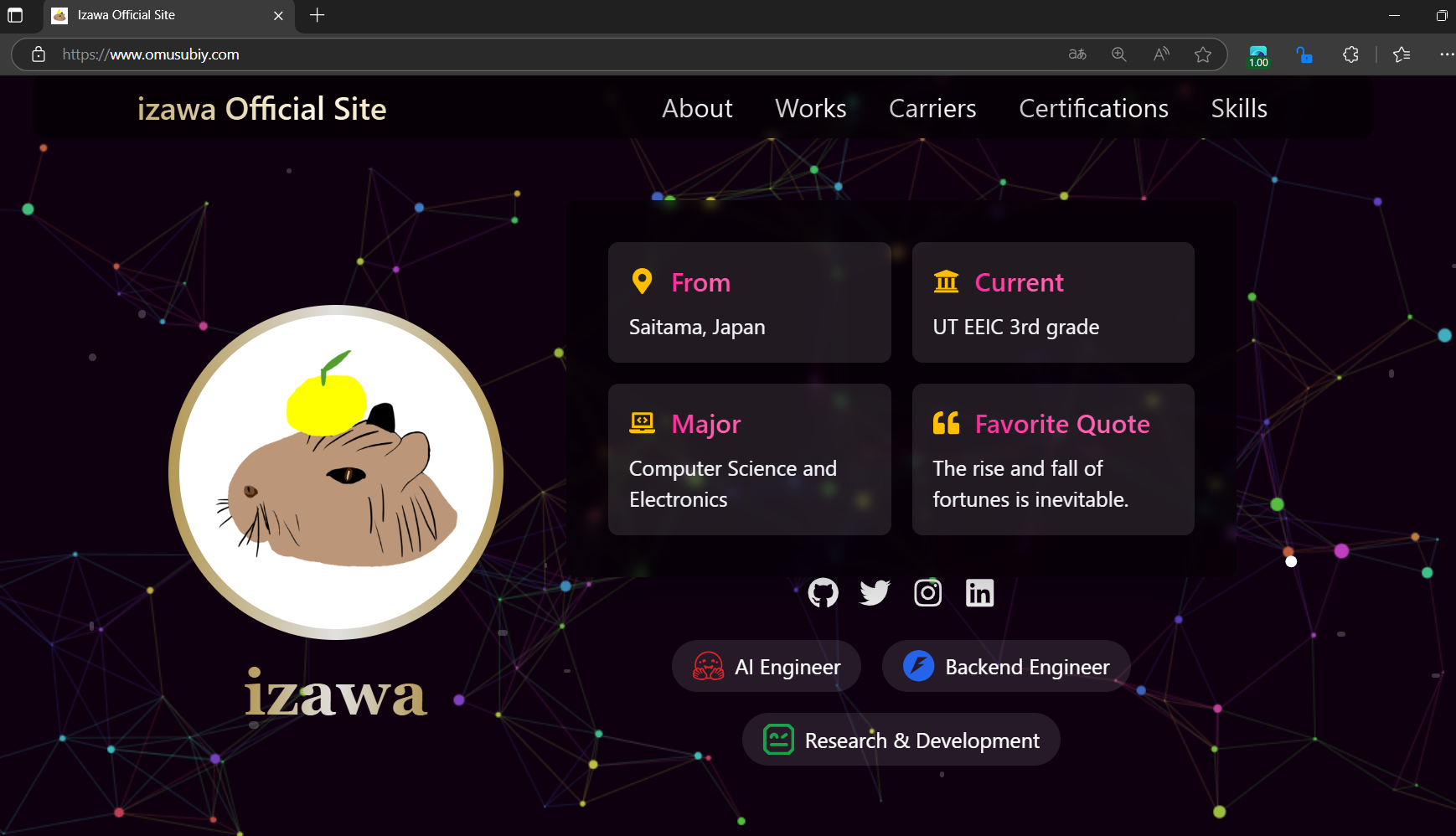 My Portfolio